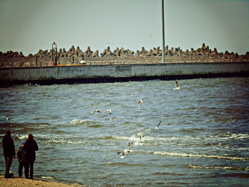 Юлия Смородина | Светлогорск