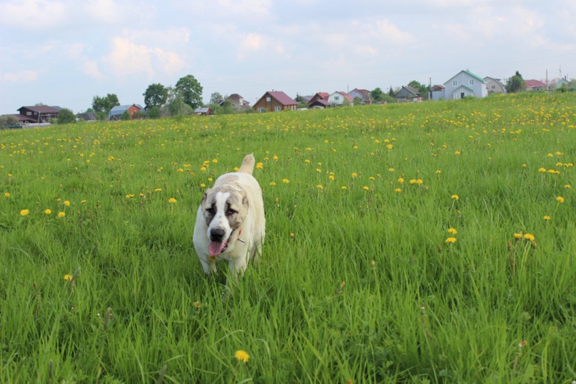 Елена Павлова Kitana | Санкт-Петербург