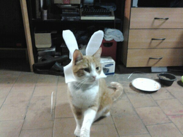 Игорь Головин | Санкт-Петербург