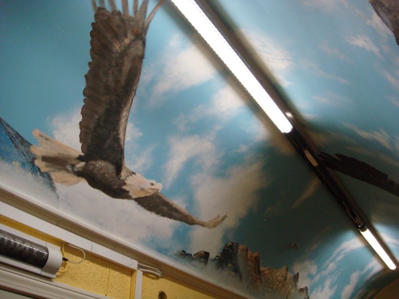 Дмитрий Дик | Сыктывкар