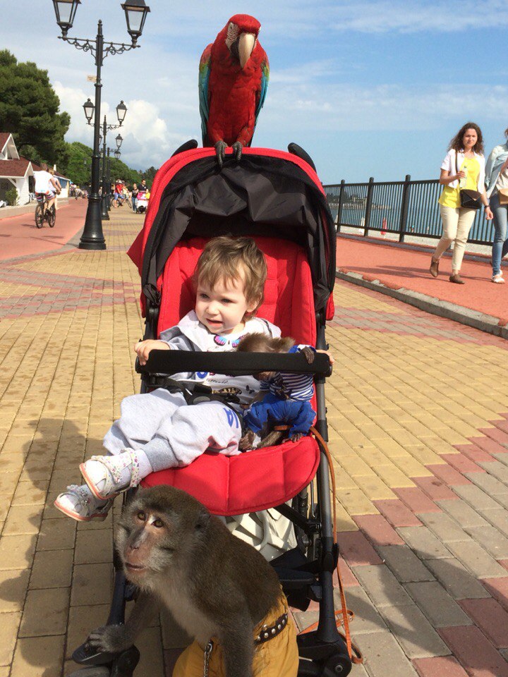 Александр Денисов /Mr./ | Ждановский