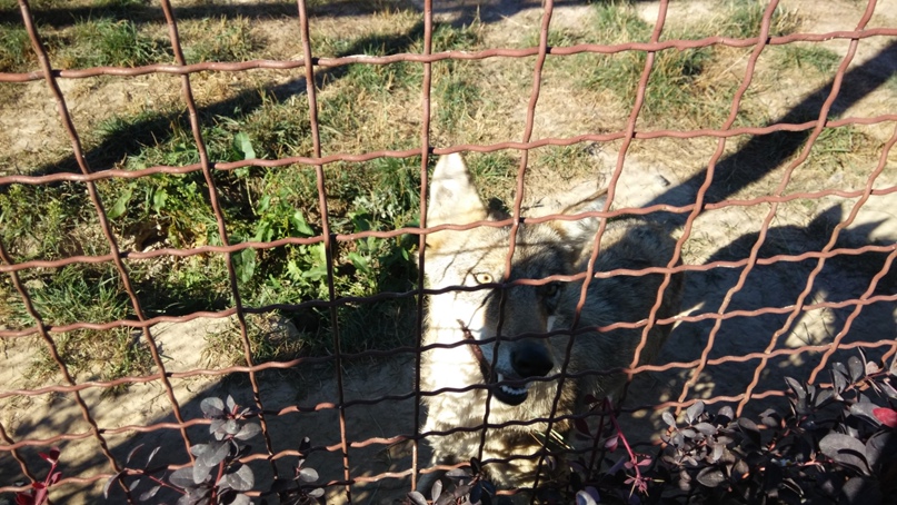 Анна Михальченко | Киев