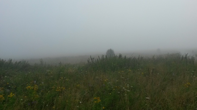 Анна Пальчикова | Екатеринбург