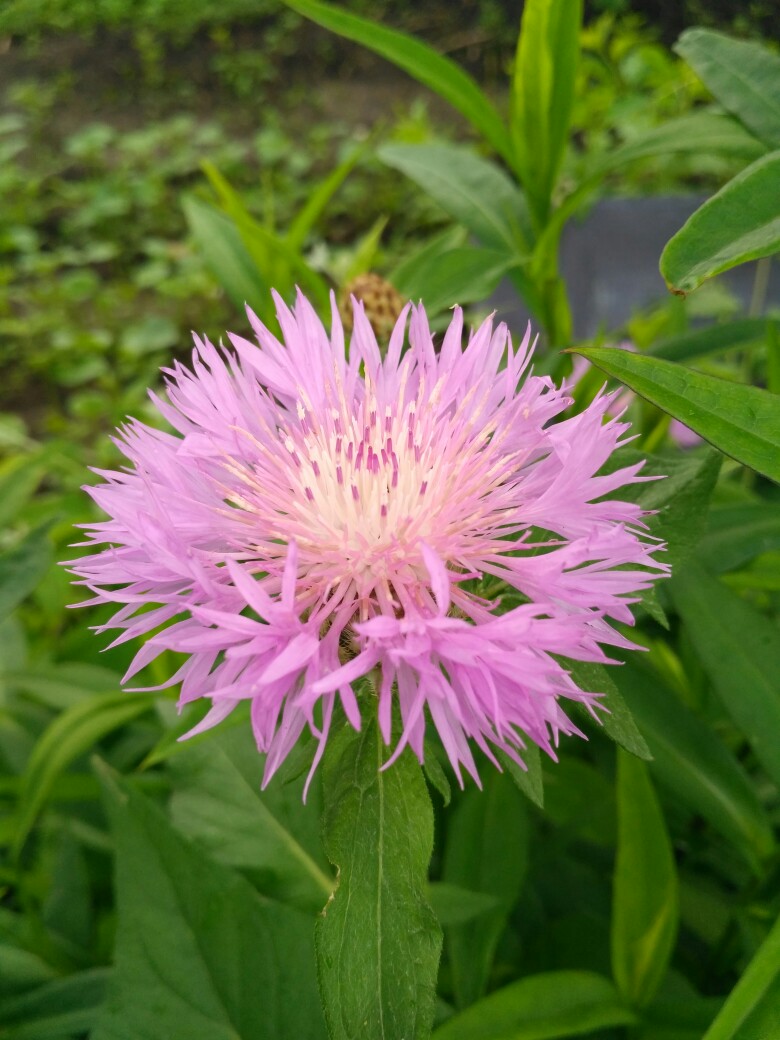 Оксана Плашенкова | Омск