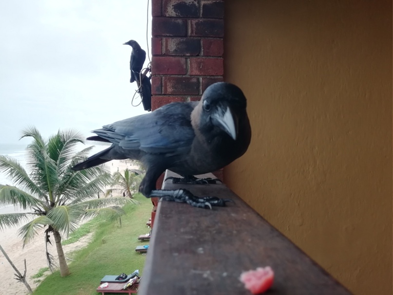 Дмитрий Алешко | Петрозаводск