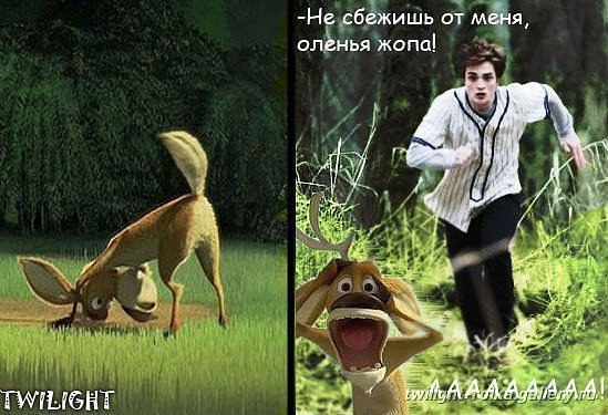 Екатерина Слезкина | Санкт-Петербург