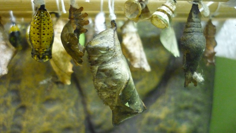 Катя Бондарева | Череповец