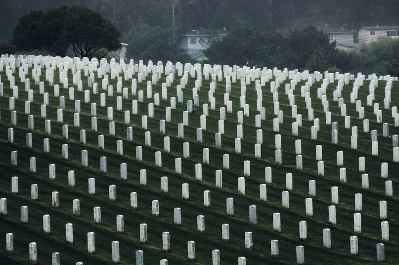 Денис Новицкий DENBACK | Санкт-Петербург