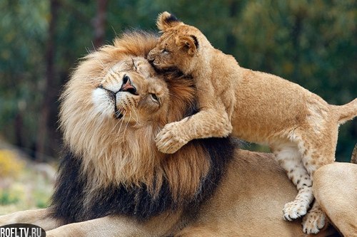 Алексей Дерябин | Орехово-Зуево