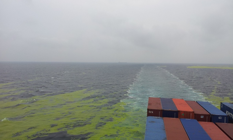 Дмитрий Мордвинов | Санкт-Петербург