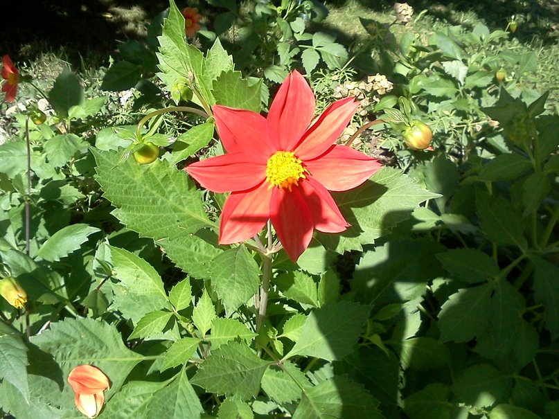 Ольга Андреева | Санкт-Петербург