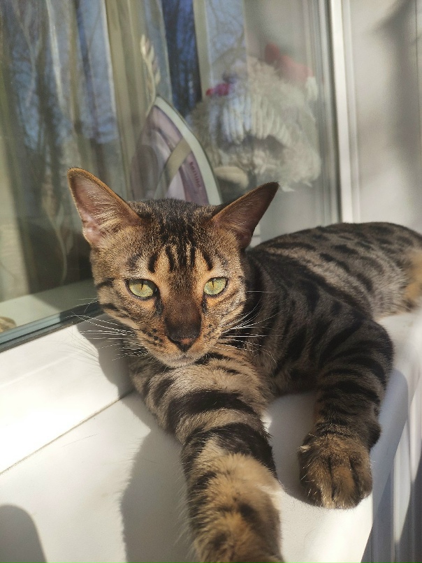 Дмитрий Ежов | Москва