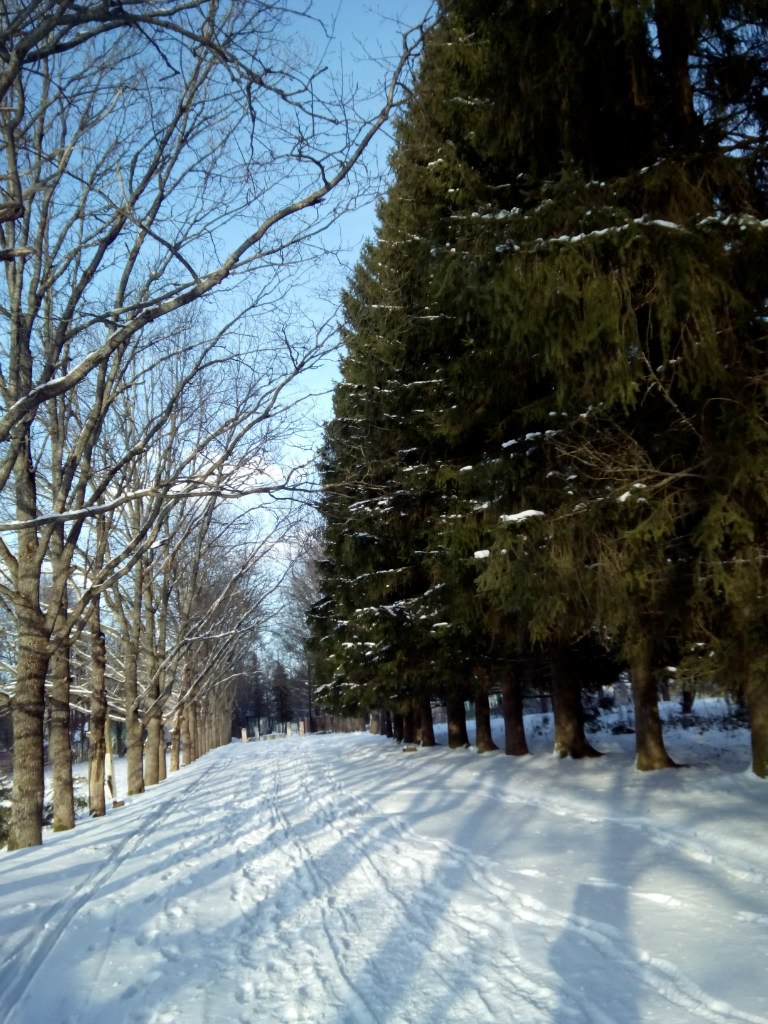 Татьяна Травникова | Санкт-Петербург