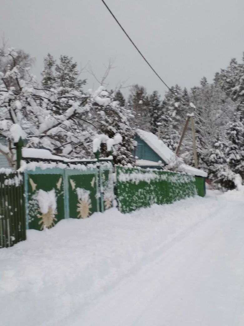 Юлия Коробченко | Санкт-Петербург