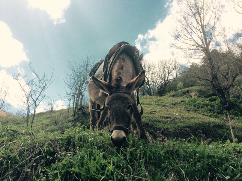 Ольга Зуева | Москва