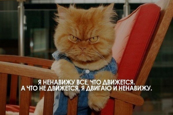 Влад Седов | Москва