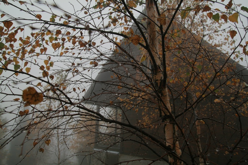 Вера Ермоленко | Киев