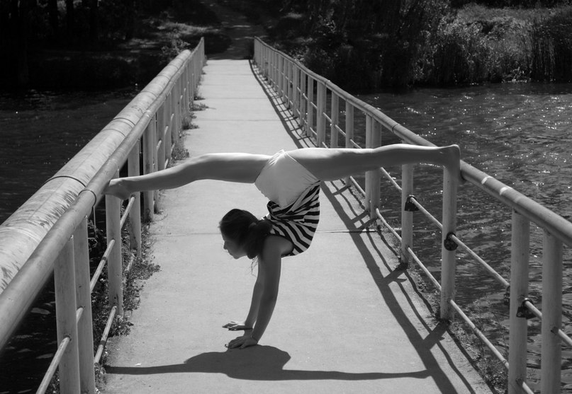 Соня Лесная |