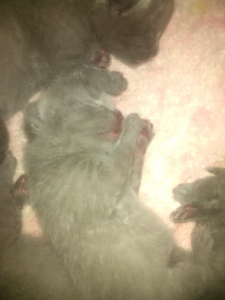 Ольга Шемякина ЛЯ))))))))) | Харьков