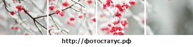 Ирина Полозова | Вятские Поляны