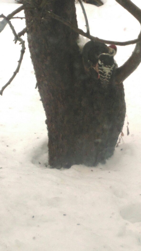 Анна Белецкая ~Анюта~ | Санкт-Петербург