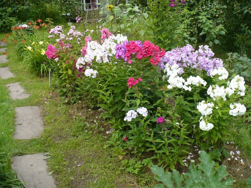 Надежда Горелова | Санкт-Петербург