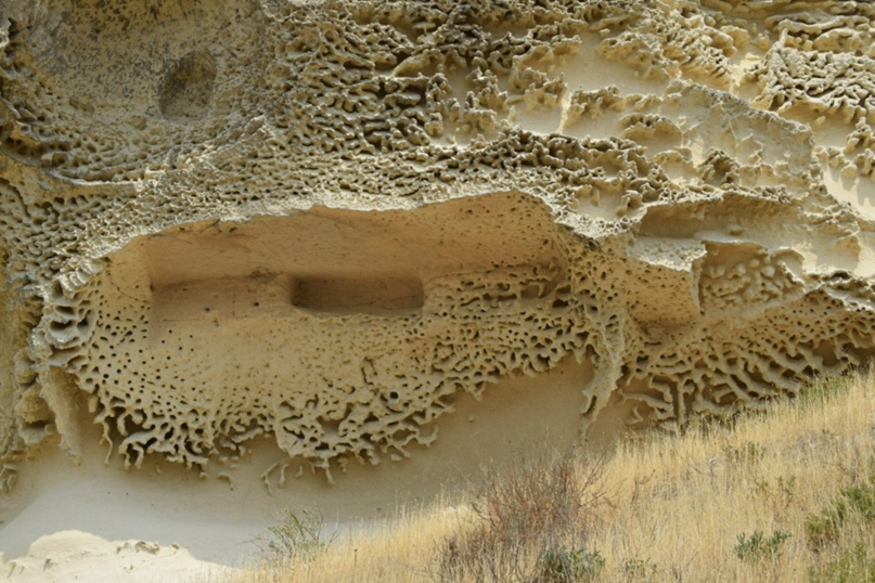 Алексей Кинаш |