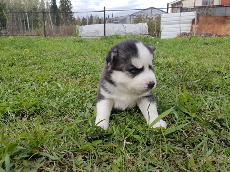 Оксана Кульчицкая | Тобольск