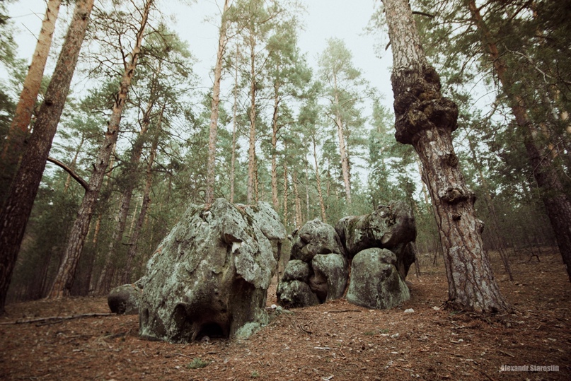 Александр Старостин | Ульяновск
