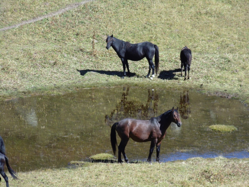 Сергей Аверьянов | Санкт-Петербург