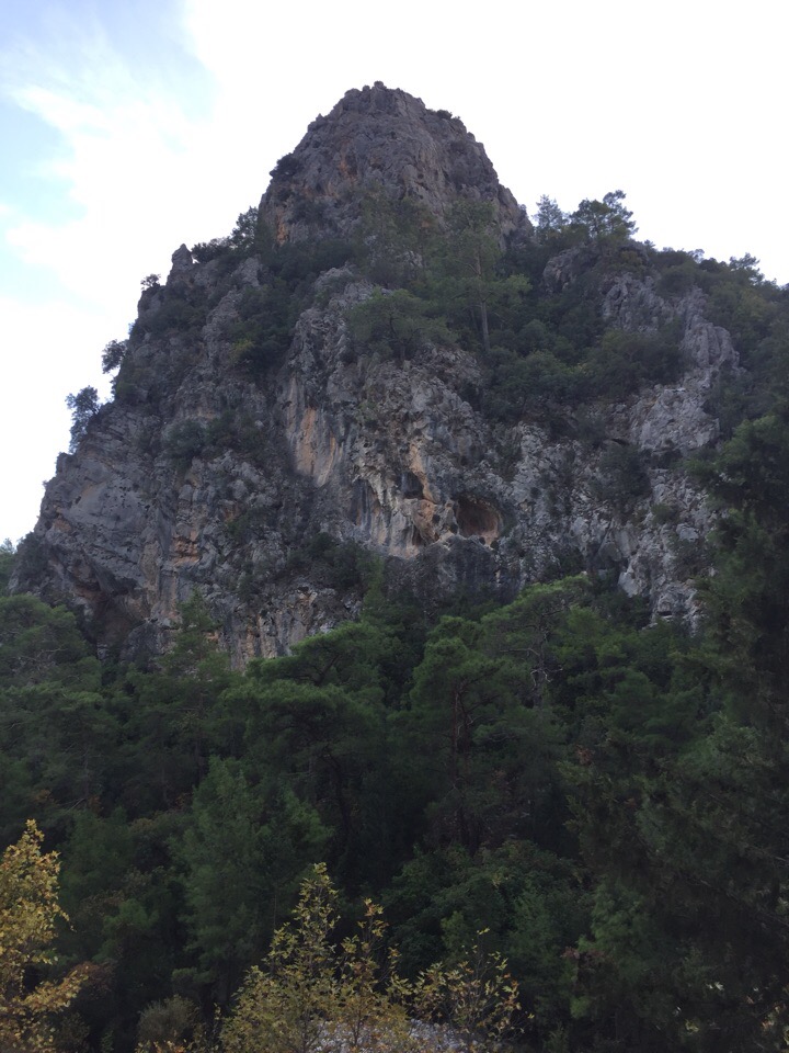 Наталья Донцова | Москва