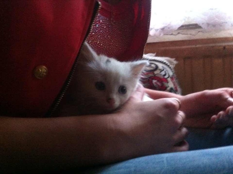 Рома Вахрушев | Санкт-Петербург