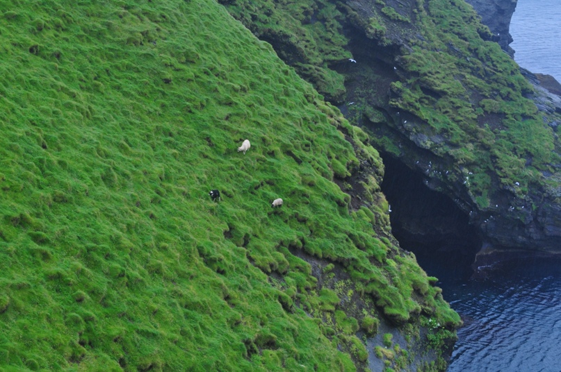 Анна Парандей | Санкт-Петербург