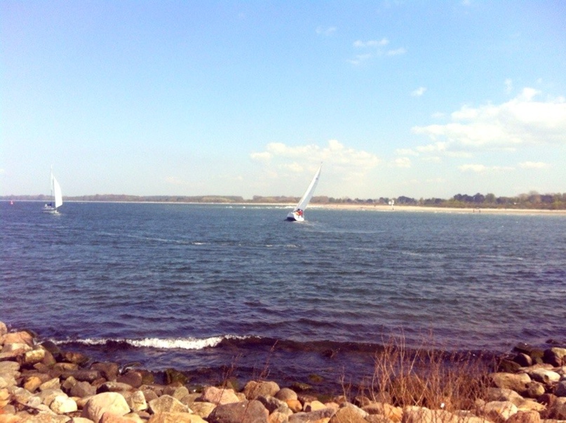 Евгения Бромберг |