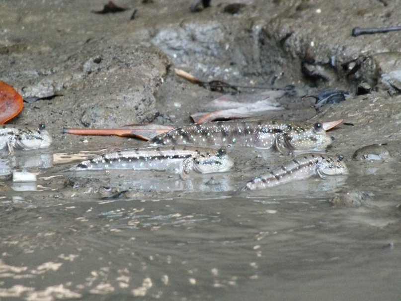 Марина Филатова | Москва