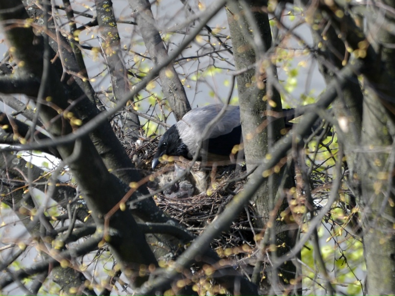 Николай Усов | Санкт-Петербург