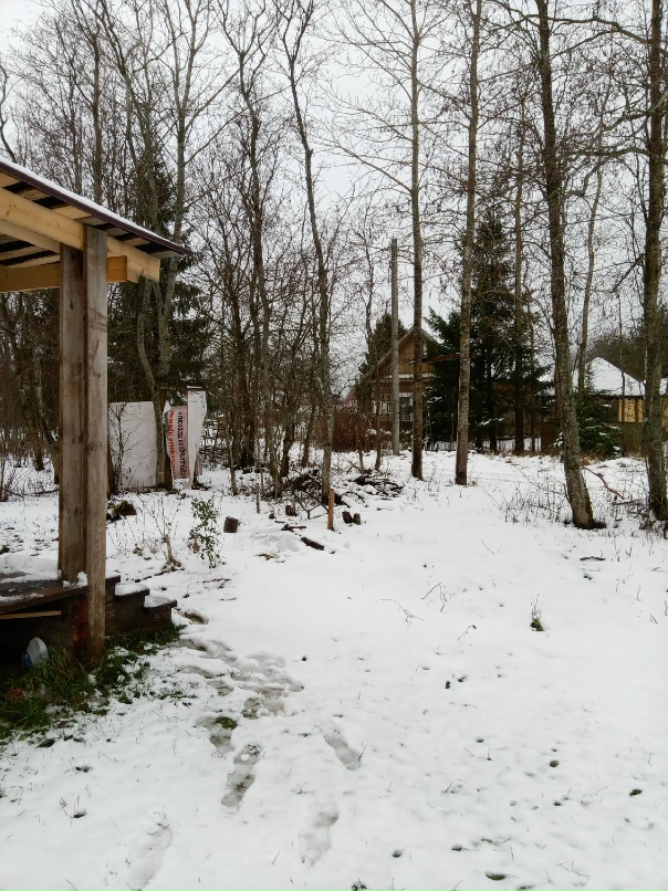 Алексей Потехин | Санкт-Петербург