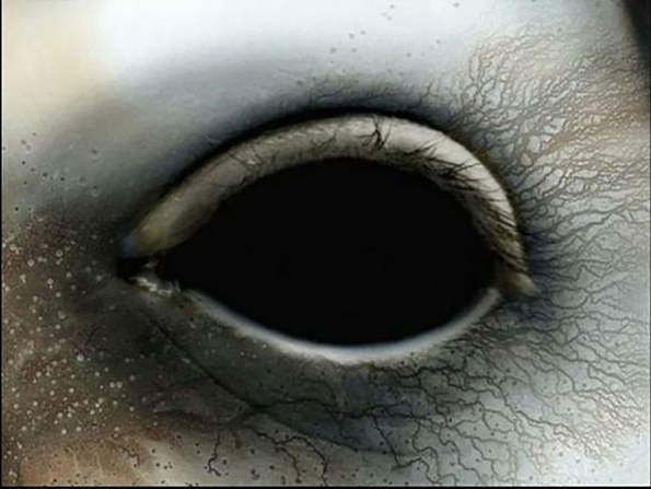 Сергей Каплин | Санкт-Петербург