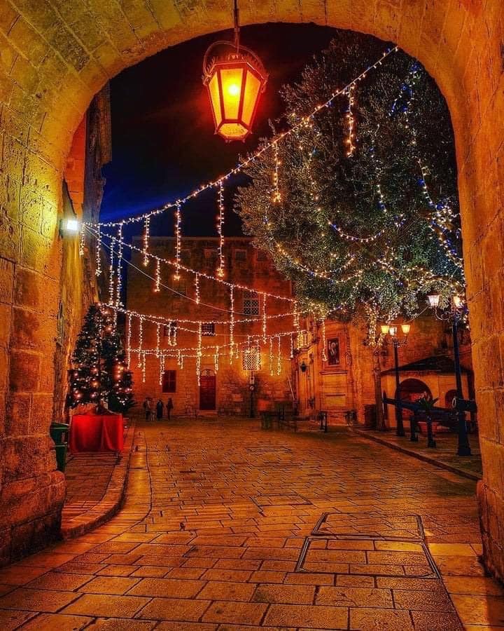 Алиса Одинцова | Днепр (Днепропетровск)