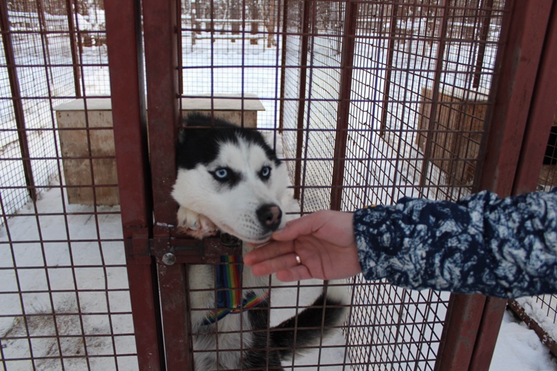 Александр Вакуленко | Кемерово