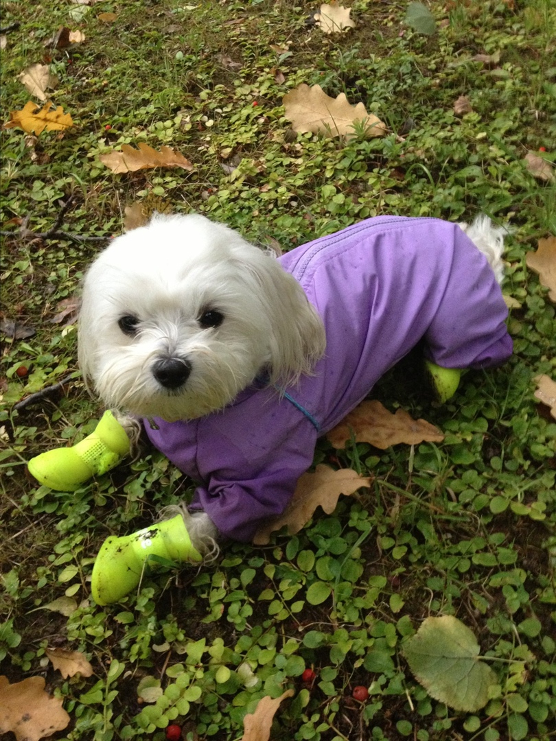 Наталья Кривошеева | Москва