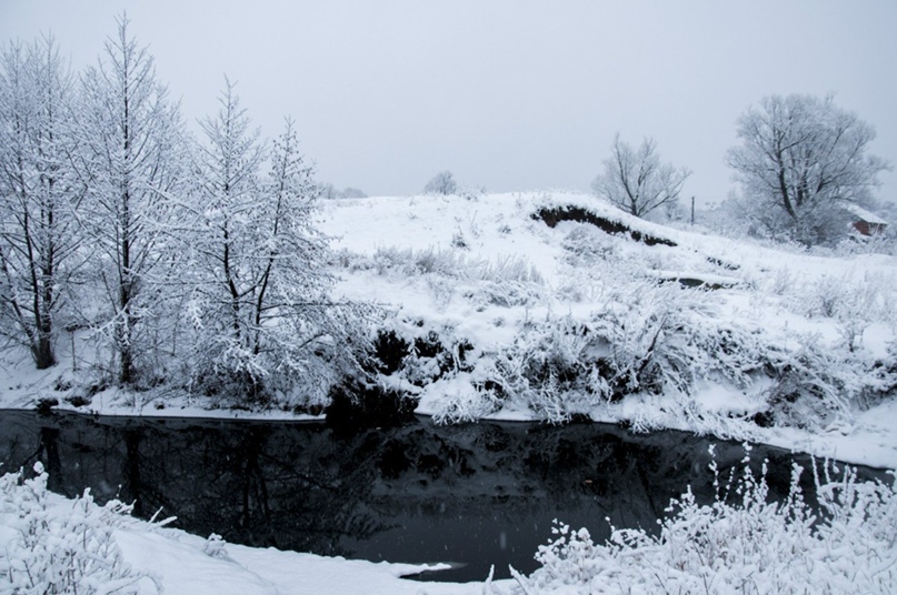 Дмитрий Жук | Сумы