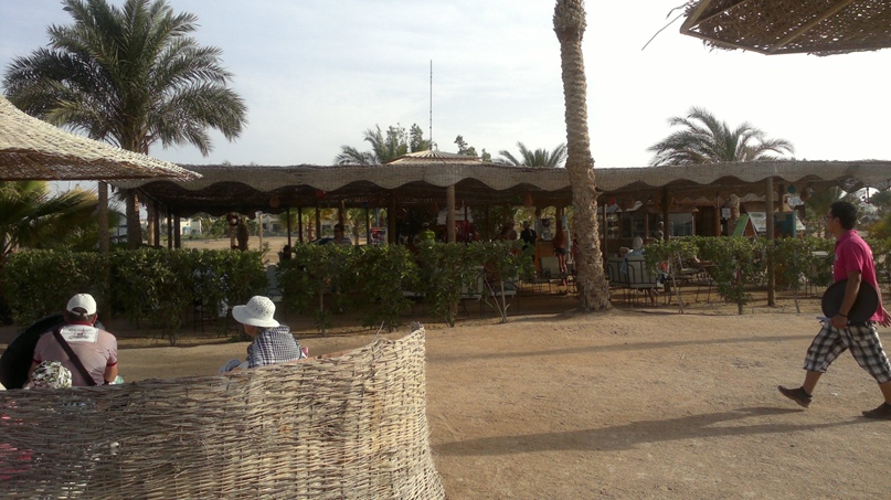 Дмитрий Шумов | Екатеринбург