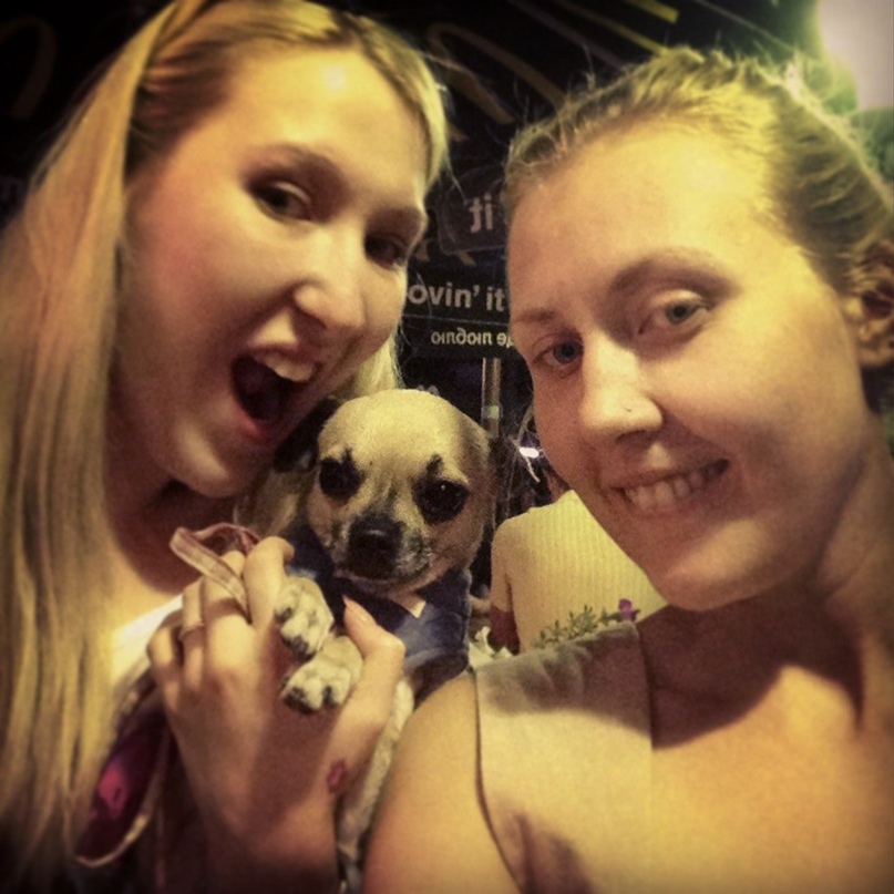 Оле Лукое | Киев