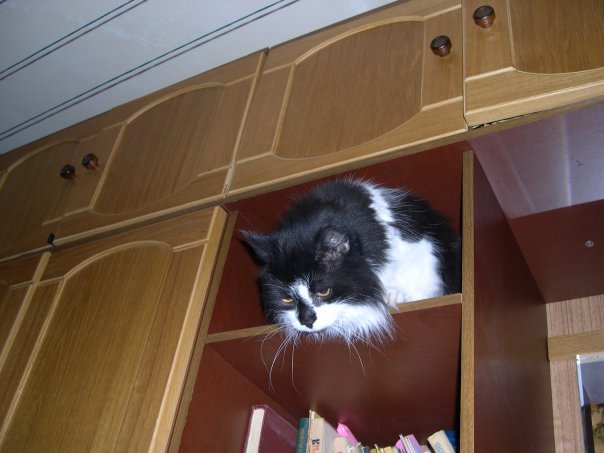 Алексей Полозов | Санкт-Петербург