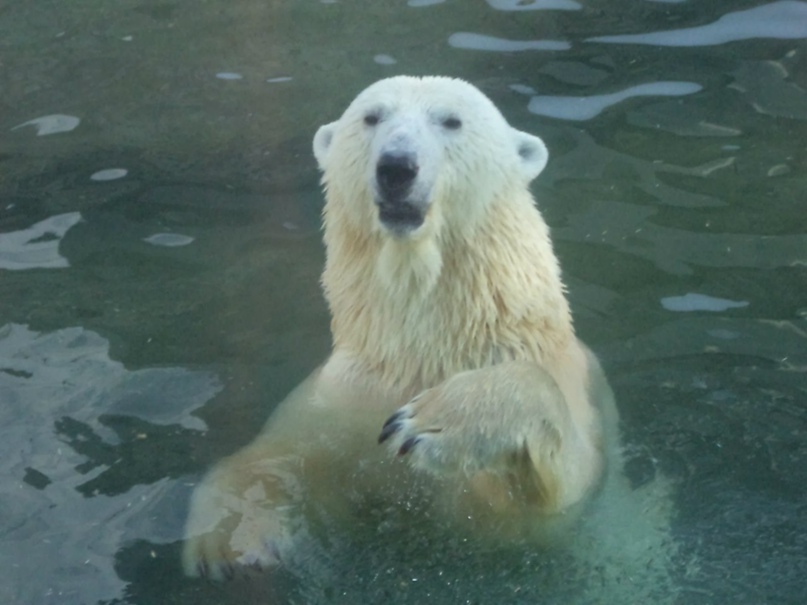 Юлия Пашкова | Москва