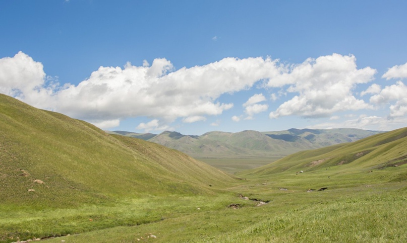 Виктория Гальчевская | Алматы