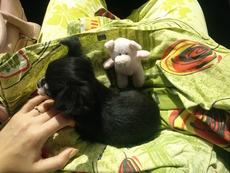 Анна Бояринова | Краснокамск