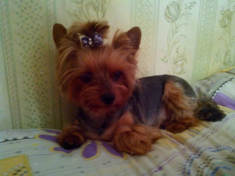 Наталья Карасева | Санкт-Петербург