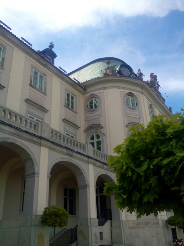 Серёга Шевченко | Киев